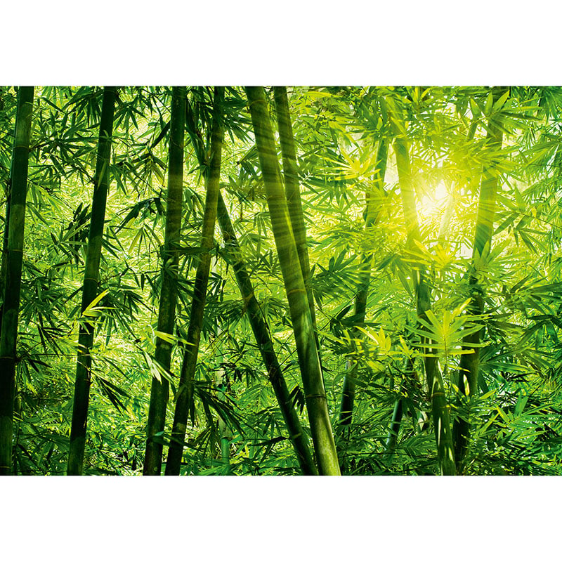 Tapet Bamboo Forest W+G – 8 bitar 366×254 cm inkl tapetklister