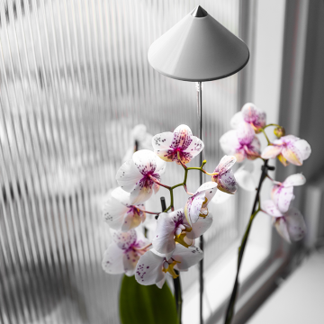 Växtlampa SUNLiTE Orchid 10W Vit Venso EcoSolutions