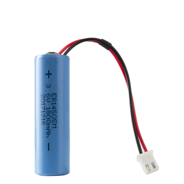 Blue Connect Go Litiumbatteri